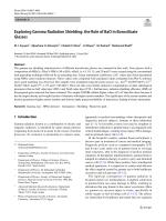 Exploring Gamma Radiation Shielding: the Role of BaO in Borosilicate Glasses