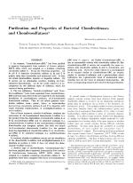 Purification and Properties of Bacterial Chondroitinases and Chondrosulfatas