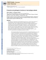 Protective and pathogenic functions of macrophage subsets