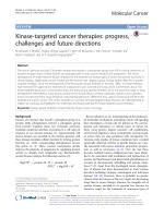 Kinase-targeted cancer therapies: progress, challenges and future directions
