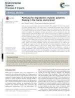 Pathways for degradation of plastic polymers floating in the marine environment