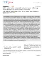 AMPK–a key factor in crosstalk between tumor cell energy metabolism and immune microenvironment?