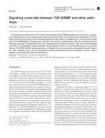 Signaling cross-talk between TGF-β/BMP and other pathways