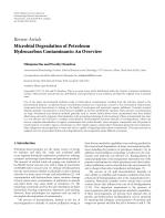 Microbial Degradation of Petroleum Hydrocarbon Contaminants: An Overview