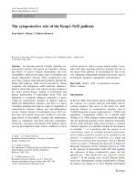 The cytoprotective role of the Keap1–Nrf2 pathway