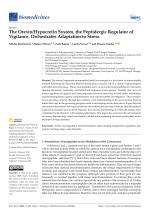 The Orexin/Hypocretin System, the Peptidergic Regulator of Vigilance, Orchestrates Adaptation to Stress