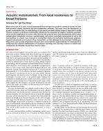 Acoustic metamaterials: From local resonances to broad horizons