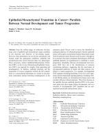 Epithelial-Mesenchymal Transition in Cancer: Parallels Between Normal Development and Tumor Progression