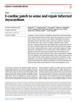 E-cardiac patch to sense and repair infarcted myocardium