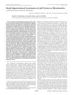 Death Signal-induced Localization of p53 Protein to Mitochondria A POTENTIAL ROLE IN APOPTOTIC SIGNALING