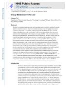 Energy Metabolism in the Liver