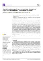 The Histone Deacetylase Family: Structural Features and Application of Combined Computational Methods