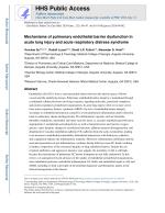 Mechanisms of pulmonary endothelial barrier dysfunction in acute lung injury and acute respiratory distress syndrome