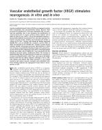Vascular endothelial growth factor (VEGF) stimulates neurogenesis in vitro and in vivo