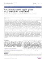 Cellular death, reactive oxygen species (ROS) and diabetic complications