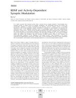 BDNF and Activity-Dependent Synaptic Modulation