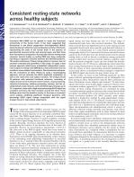 Consistent resting-state networks across healthy subjects