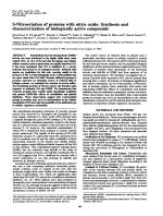 S-Nitrosylation of proteins with nitric oxide: Synthesis and characterization of biologically active compounds