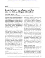 Bacterial outer membrane vesicles and the host–pathogen interaction