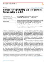 Cellular reprogramming as a tool to model human aging in a dish