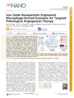 Iron Oxide Nanoparticles Engineered Macrophage-Derived Exosomes for Targeted Pathological Angiogenesis Therapy