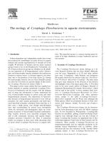 The ecology of Cytophaga–Flavobacteria in aquatic environments