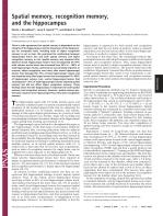 Spatial memory, recognition memory, and the hippocampus