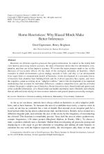 Homo Heuristicus: Why Biased Minds Make Better Inferences