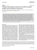 Transport and inhibition mechanism for VMAT2-mediated synaptic vesicle loading of monoamines