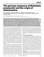 The genome sequence of Rickettsia prowazekii and the origin of mitochondria