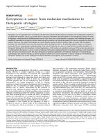 Ferroptosis in cancer: from molecular mechanisms to therapeutic strategies