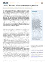 Learning shapes the development of migratory behavior