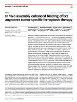 In vivo assembly enhanced binding effect augments tumor specific ferroptosis therapy