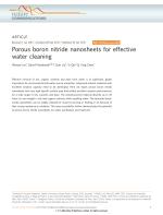 Porous boron nitride nanosheets for effective water cleaning