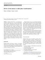 Review of the anatase to rutile phase transformation