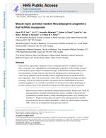 Muscle injury activates resident fibro/adipogenic progenitors that facilitate myogenesis