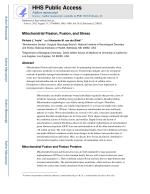 Mitochondrial Fission, Fusion, and Stress