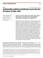 Salmonella exploits membrane reservoirs for invasion of host cells