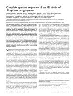 Complete genome sequence of an M1 strain of Streptococcus pyogenes