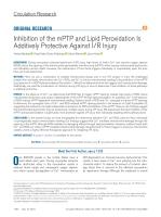Inhibition of the mPTP and Lipid Peroxidation Is Additively Protective Against I/R Injury