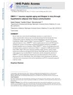 DMH<sup>Ppp1r17</sup> neurons regulate aging and lifespan in mice through hypothalamic-adipose inter-tissue communication
