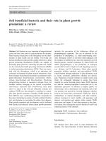 Soil beneficial bacteria and their role in plant growth promotion: a review