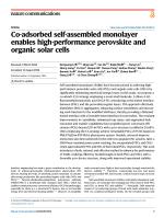Co-adsorbed self-assembled monolayer enables high-performance perovskite and organic solar cells