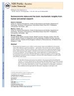 Socioeconomic status and the brain: mechanistic insights from human and animal research