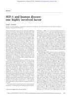 HIF-1 and human disease: one highly involved factor