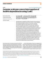 Genome-scale pan-cancer interrogation of IncRNA dependencies using CasRx