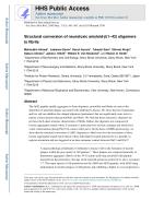 Structural conversion of neurotoxic amyloid-β(1–42) oligomers to fibrils