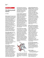 Fibroblast growth factors
