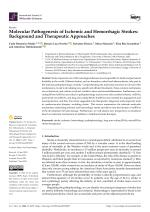 Molecular Pathogenesis of Ischemic and Hemorrhagic Strokes: Background and Therapeutic Approaches