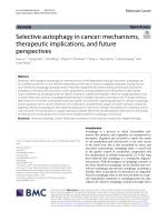 Selective autophagy in cancer: mechanisms, therapeutic implications, and future perspectives